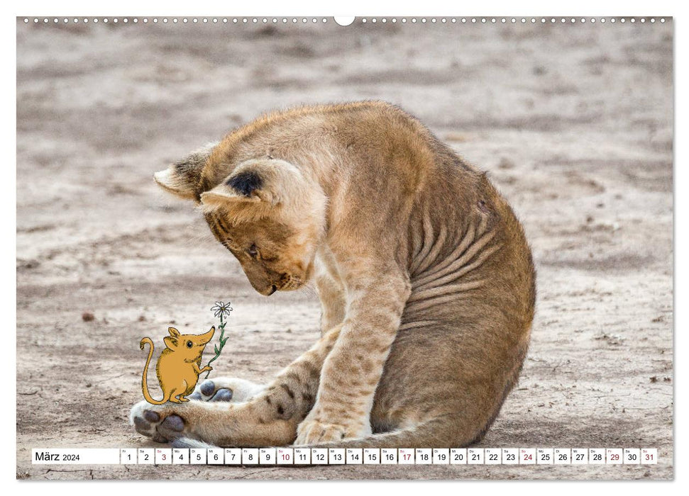 Tierisch verspielt (CALVENDO Wandkalender 2024)