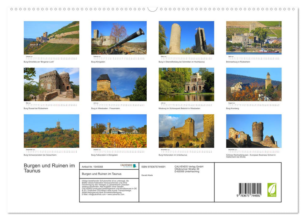 Châteaux et ruines du Taunus (Calendrier mural CALVENDO Premium 2024) 