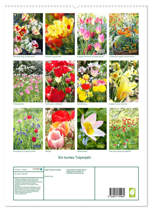 Ein buntes Tulpenjahr (CALVENDO Premium Wandkalender 2024)