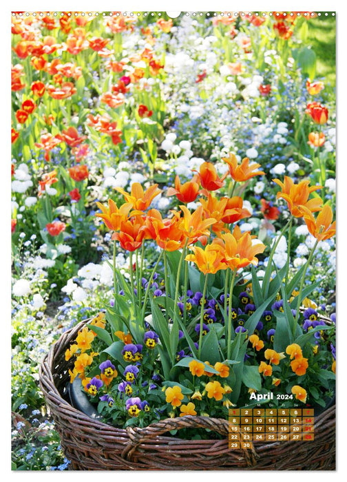Une année de tulipes colorées (Calendrier mural CALVENDO Premium 2024) 