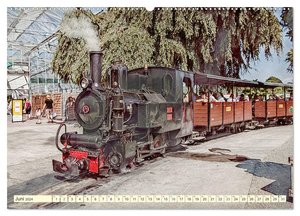 Dampfloks - eindrucksvolle Lokomotiven (CALVENDO Premium Wandkalender 2024)