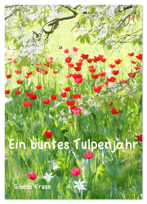 Ein buntes Tulpenjahr (CALVENDO Wandkalender 2024)