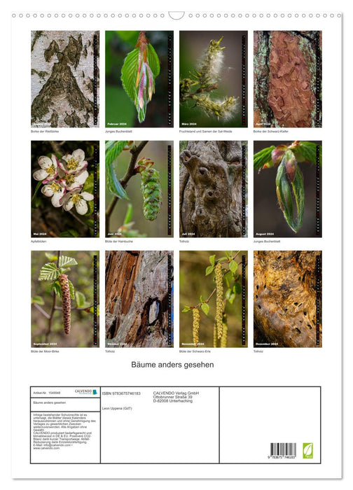 Les arbres vus autrement (Calendrier mural CALVENDO 2024) 