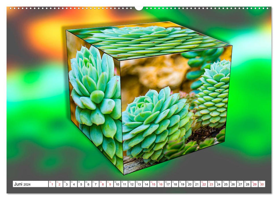 Cactus en images cubiques (Calendrier mural CALVENDO 2024) 