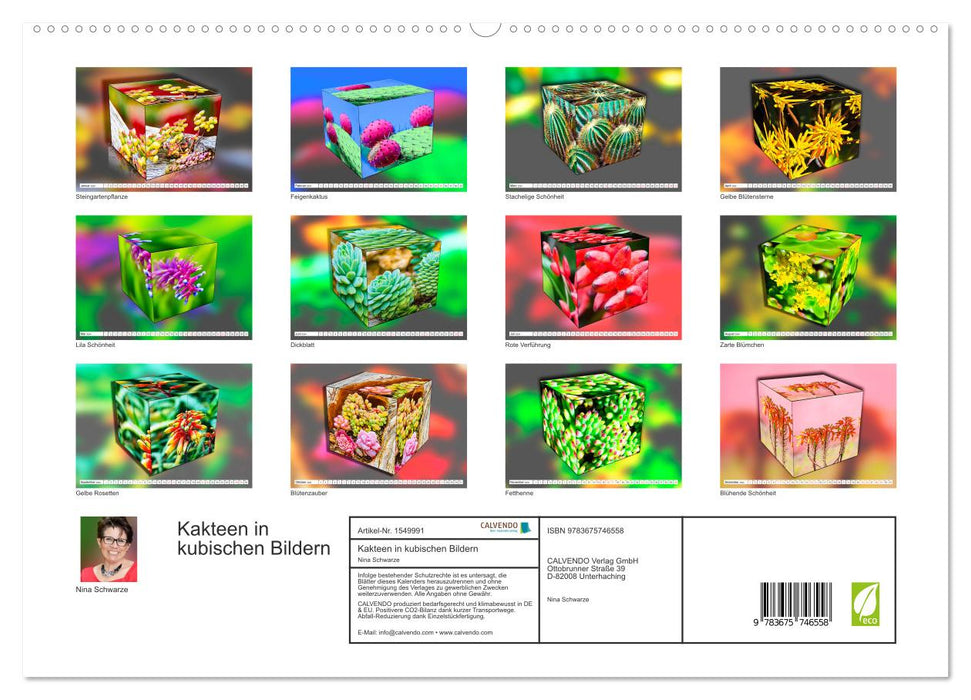 Cactus en images cubiques (Calvendo Premium Wall Calendar 2024) 