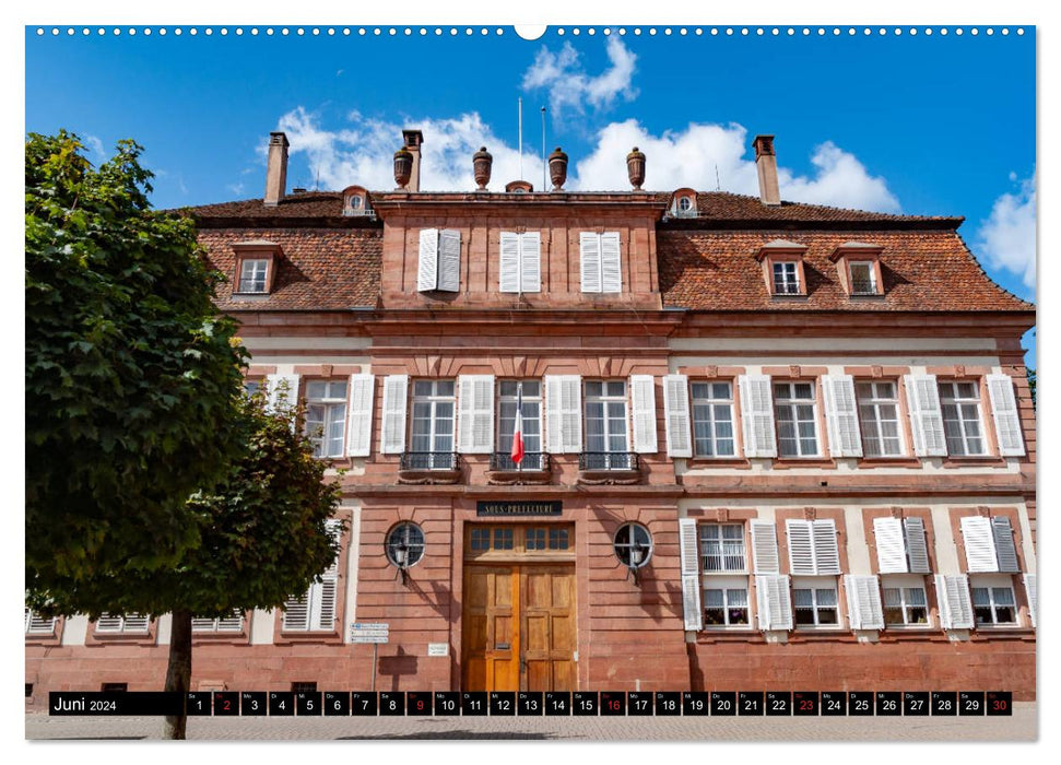 Wissembourg - Fleurs et Canaux (Calendrier mural CALVENDO Premium 2024) 