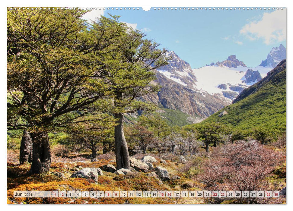 Patagonien - wildes und weites Land (CALVENDO Premium Wandkalender 2024)