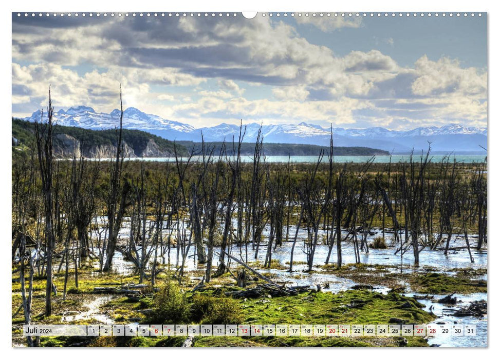 Patagonie - terre sauvage et vaste (Calendrier mural CALVENDO Premium 2024) 
