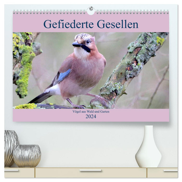 Gefiederte Gesellen - Vögel aus Wald und Garten (CALVENDO Premium Wandkalender 2024)