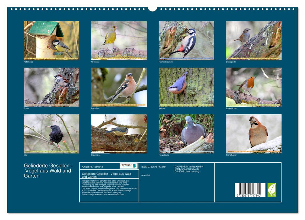 Gefiederte Gesellen - Vögel aus Wald und Garten (CALVENDO Premium Wandkalender 2024)