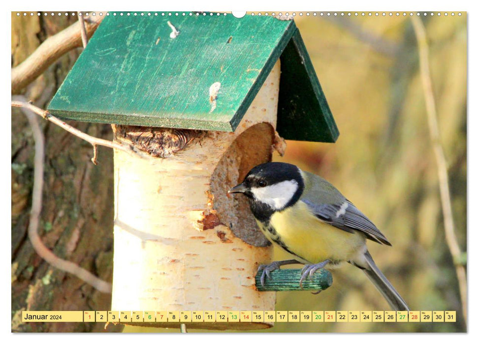 Gefiederte Gesellen - Vögel aus Wald und Garten (CALVENDO Premium Wandkalender 2024)