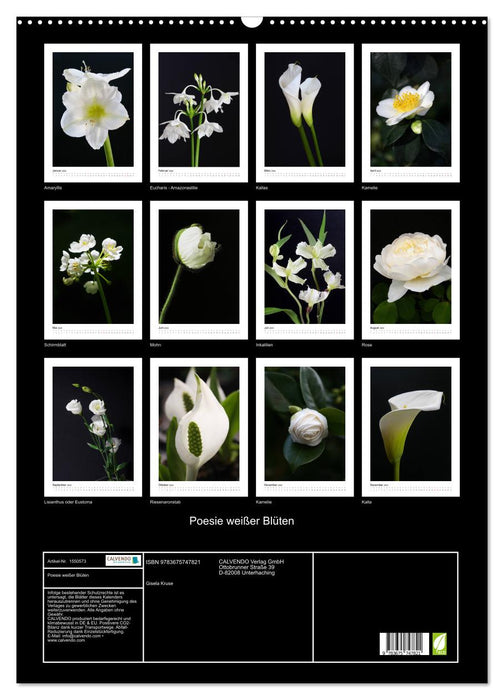 Poesie weißer Blüten (CALVENDO Wandkalender 2024)