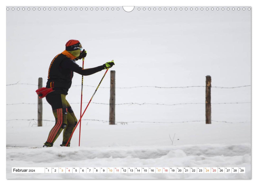 Tannheim im Tal, da wo viele Urlaub machen. (CALVENDO Wandkalender 2024)