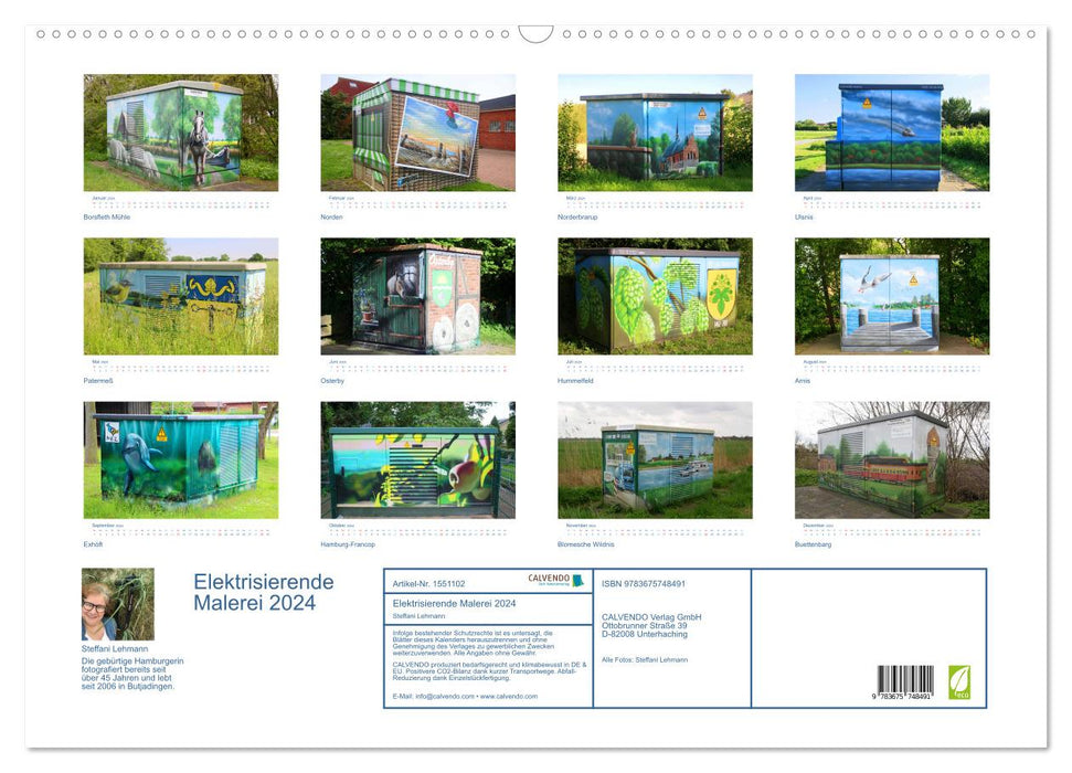 Peinture électrisante 2024. Art sur les coffrets électriques dans les espaces publics (Calendrier mural CALVENDO 2024) 