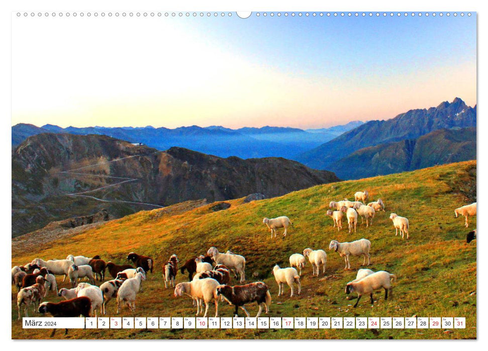 Hochtor zum Sonnblick (Calendrier mural CALVENDO Premium 2024) 