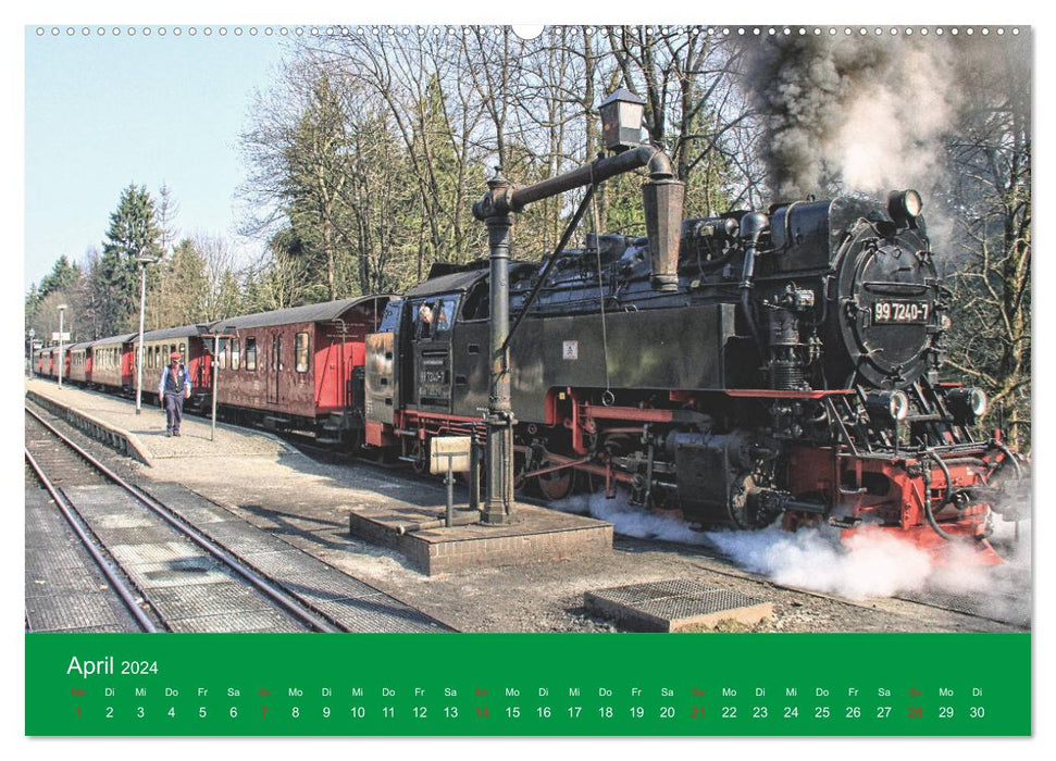 HARZKRAFT - SEHNSUCHTSORT HARZ (CALVENDO Wandkalender 2024)