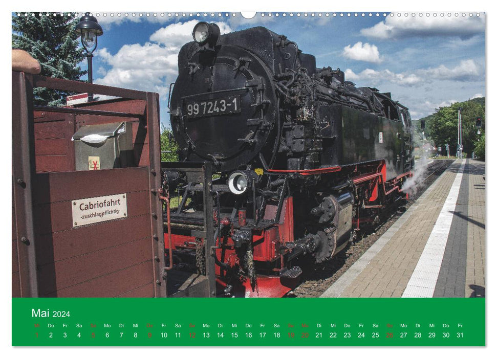 HARZKRAFT - SEHNSUCHTSORT HARZ (CALVENDO Wandkalender 2024)