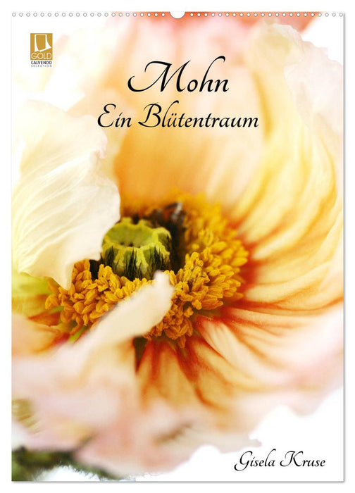 Mohn - Ein Blütentraum (CALVENDO Wandkalender 2024)