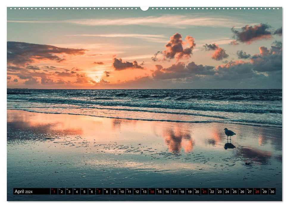 Mein Jahr auf Norderney (CALVENDO Premium Wandkalender 2024)