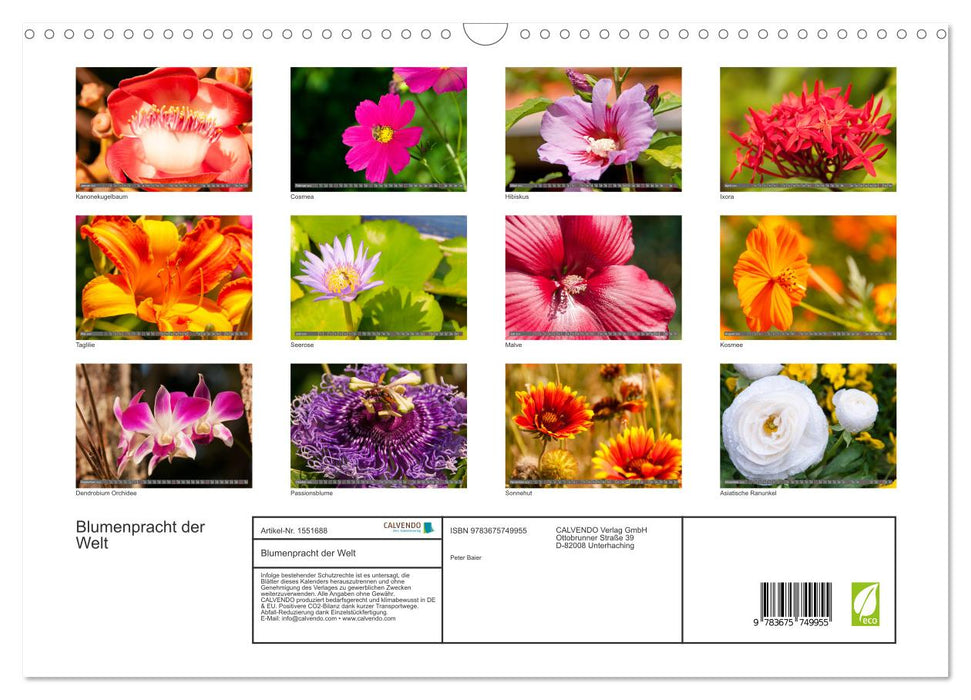 Blumenpracht der Welt (CALVENDO Wandkalender 2024)