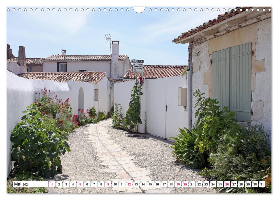 Île de Ré (CALVENDO wall calendar 2024) 