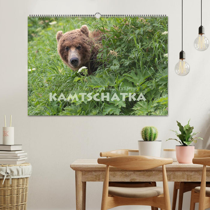 Face to face with the brown bears in Kamchatka (CALVENDO wall calendar 2024) 