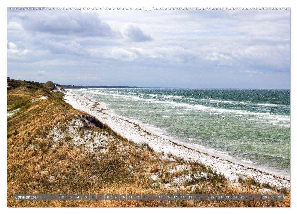 Fischland Darß Zingst - as if painted (CALVENDO wall calendar 2024) 