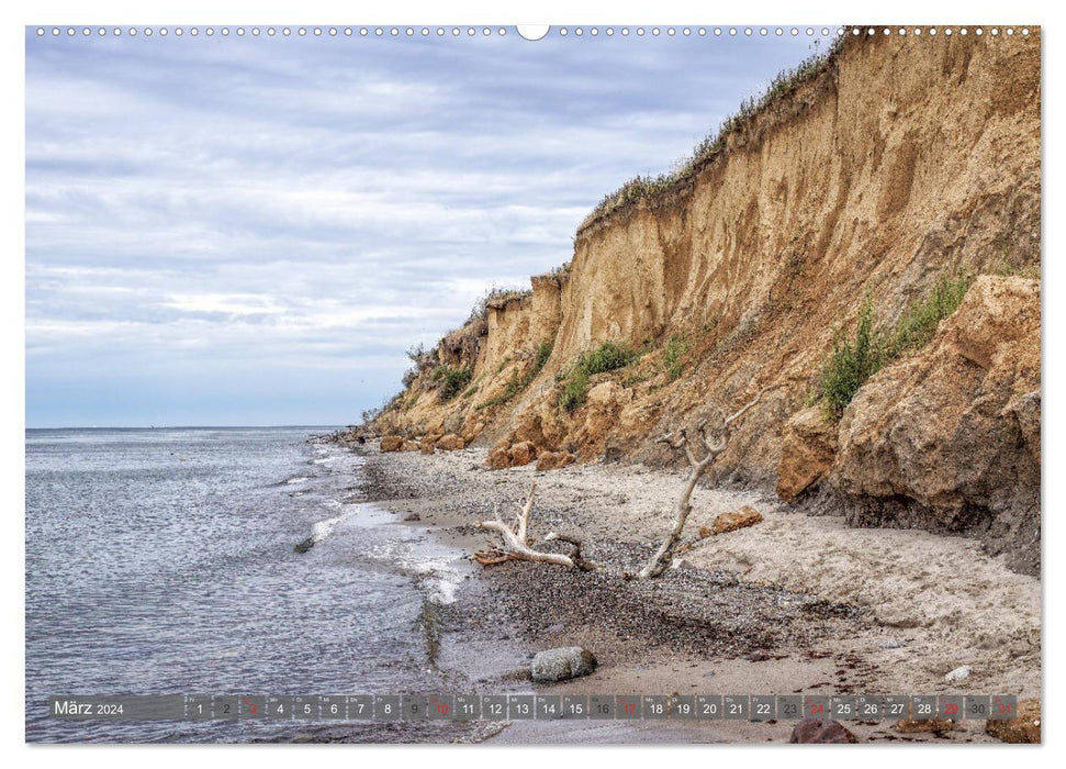 Fischland Darß Zingst - as if painted (CALVENDO wall calendar 2024) 