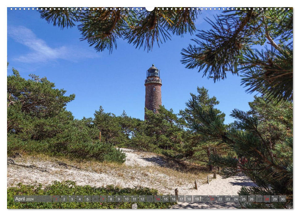 Fischland Darß Zingst - as if painted (CALVENDO wall calendar 2024) 