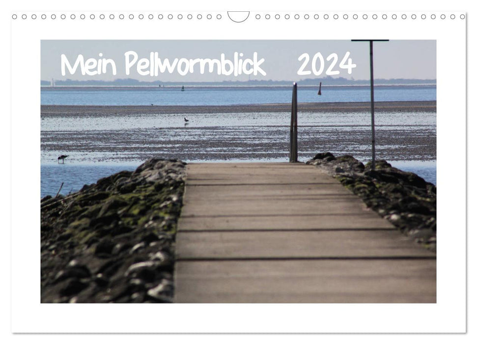 My Pellworm view (CALVENDO wall calendar 2024) 