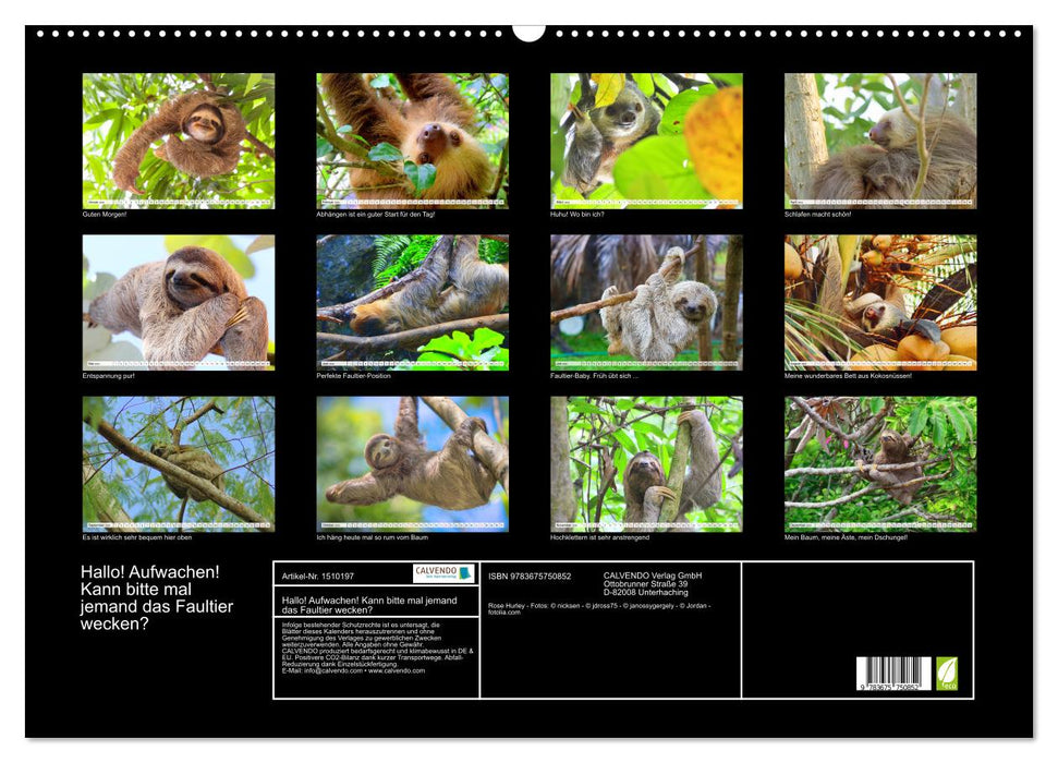 Hello! Wake up! Can someone please wake up the sloth? (CALVENDO wall calendar 2024) 