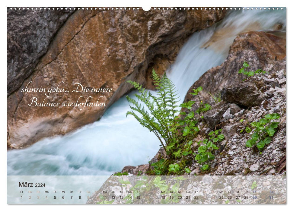 Shinrin yoku - forest bathing 2024 (CALVENDO wall calendar 2024) 