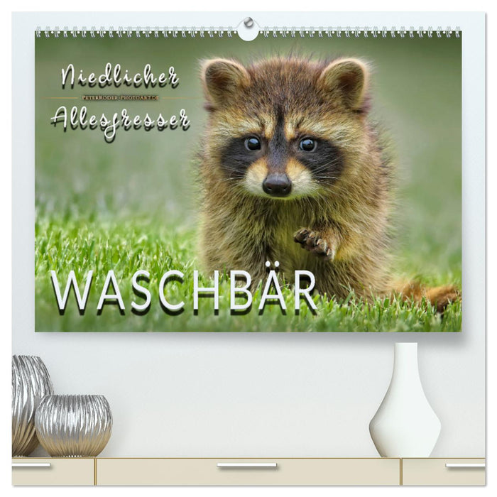 Waschbär - Niedlicher Allesfresser (CALVENDO Premium Wandkalender 2024)