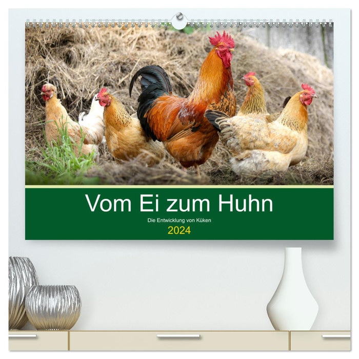 Vom Ei zum Huhn. Die Entwicklung von Küken (CALVENDO Premium Wandkalender 2024)