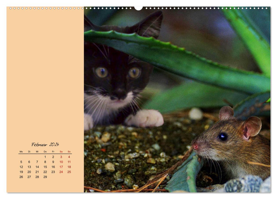 Mousey times! Cute fellows with button eyes (CALVENDO Premium Wall Calendar 2024) 