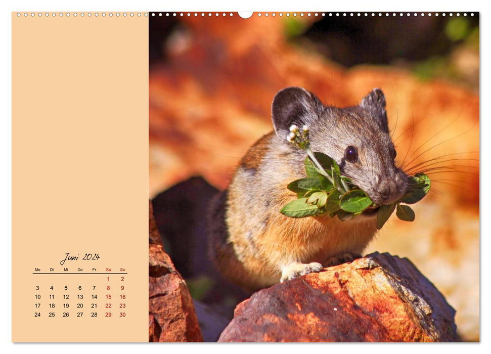 Mousey times! Cute fellows with button eyes (CALVENDO Premium Wall Calendar 2024) 