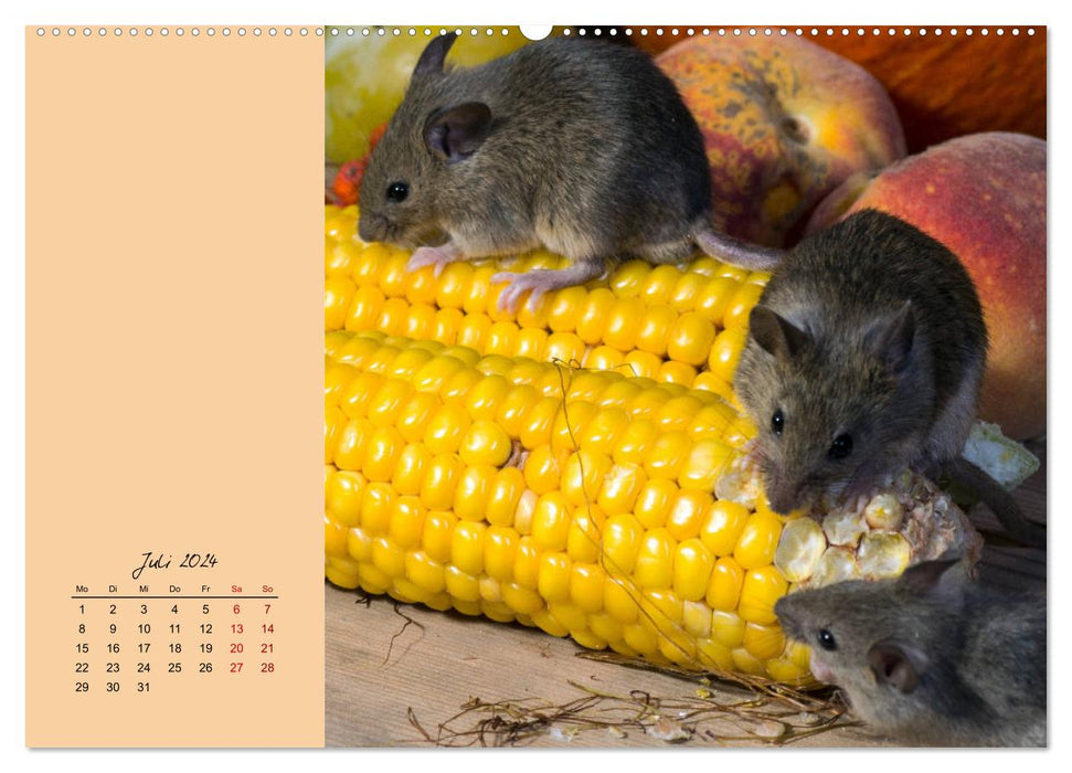 Mousey times! Cute fellows with button eyes (CALVENDO Premium Wall Calendar 2024) 