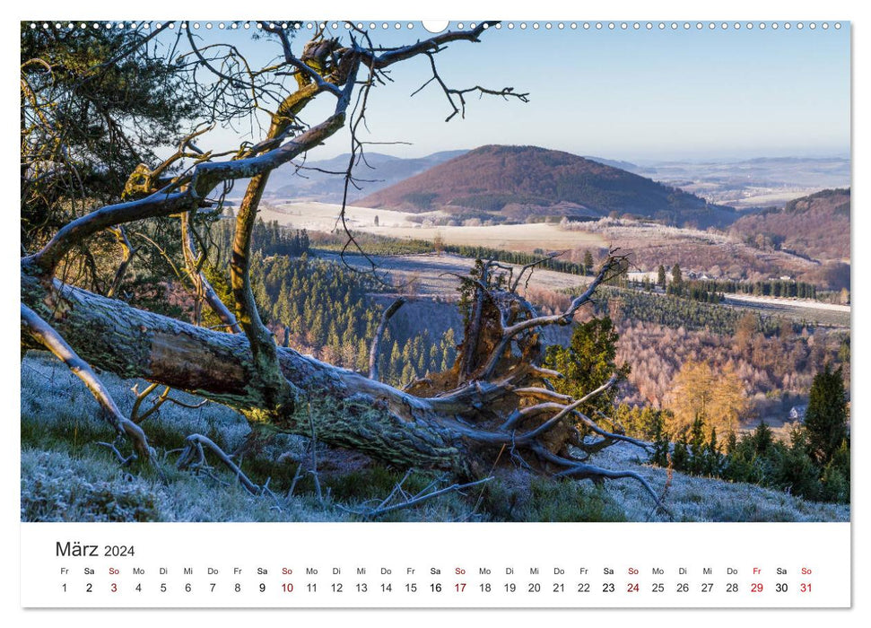 My Sauerland (CALVENDO Premium Wall Calendar 2024) 