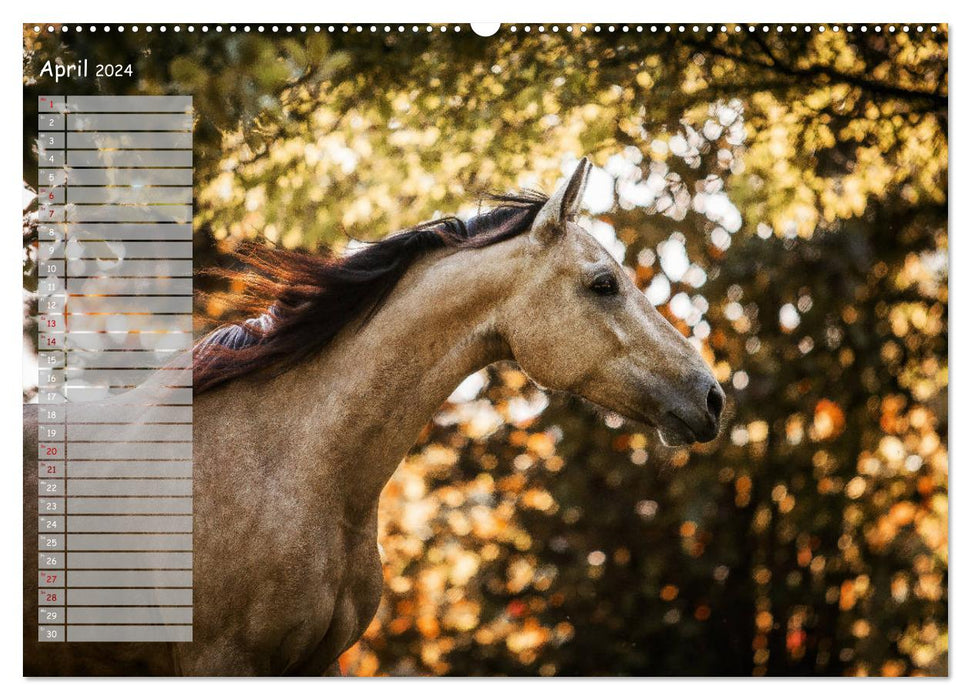 Pferde - Spiegel deiner Seele (CALVENDO Wandkalender 2024)