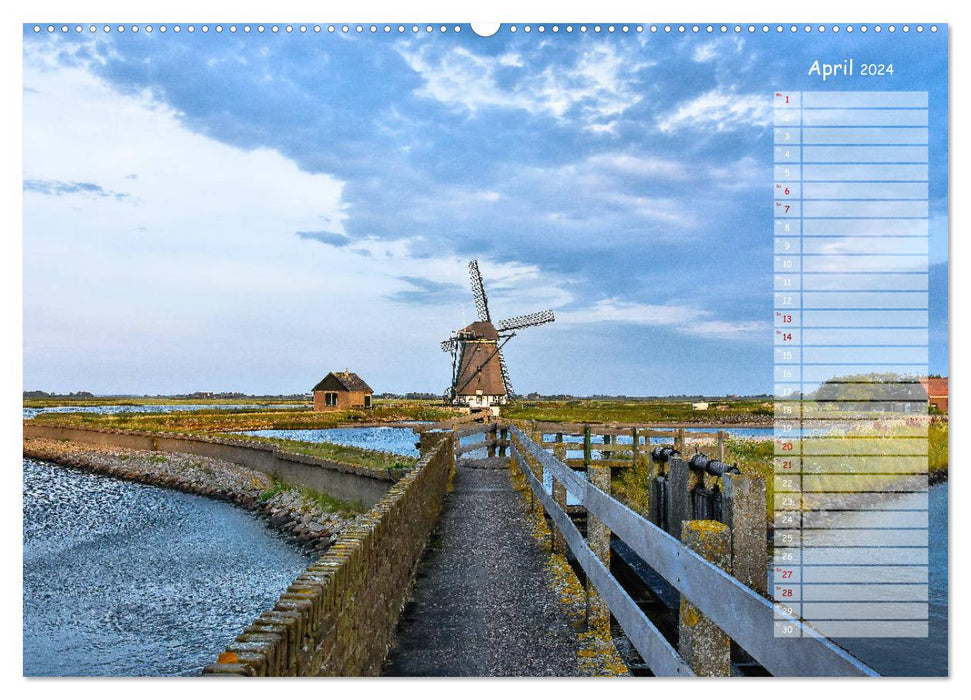 Ein Sommer auf Texel (CALVENDO Wandkalender 2024)