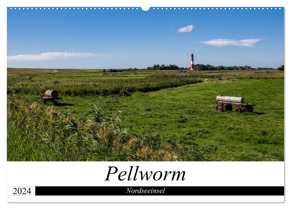 Nordseeinsel Pellworm 2024 (CALVENDO Wandkalender 2024)