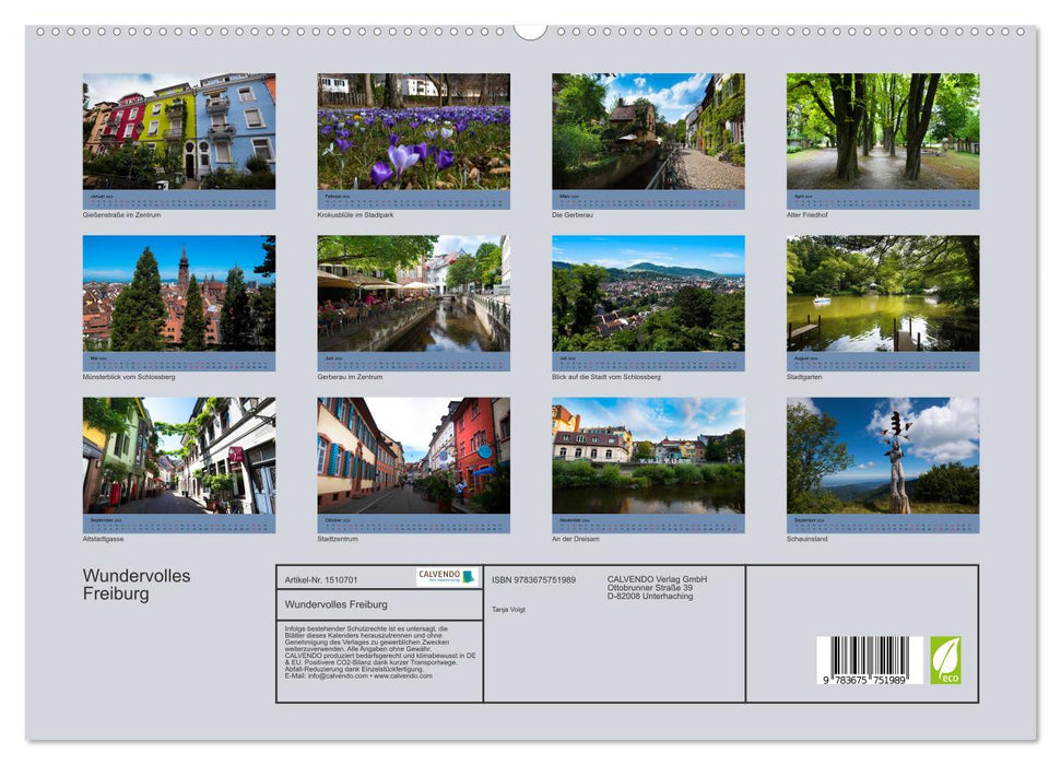 Wundervolles Freiburg (CALVENDO Premium Wandkalender 2024)
