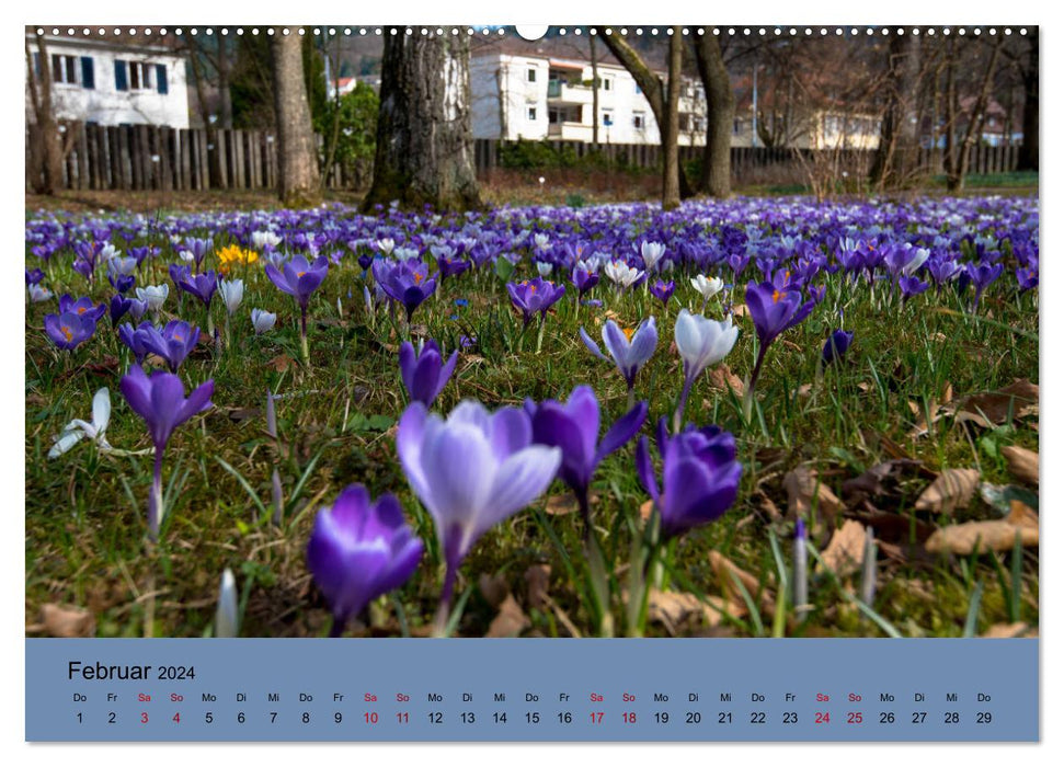 Wundervolles Freiburg (CALVENDO Premium Wandkalender 2024)