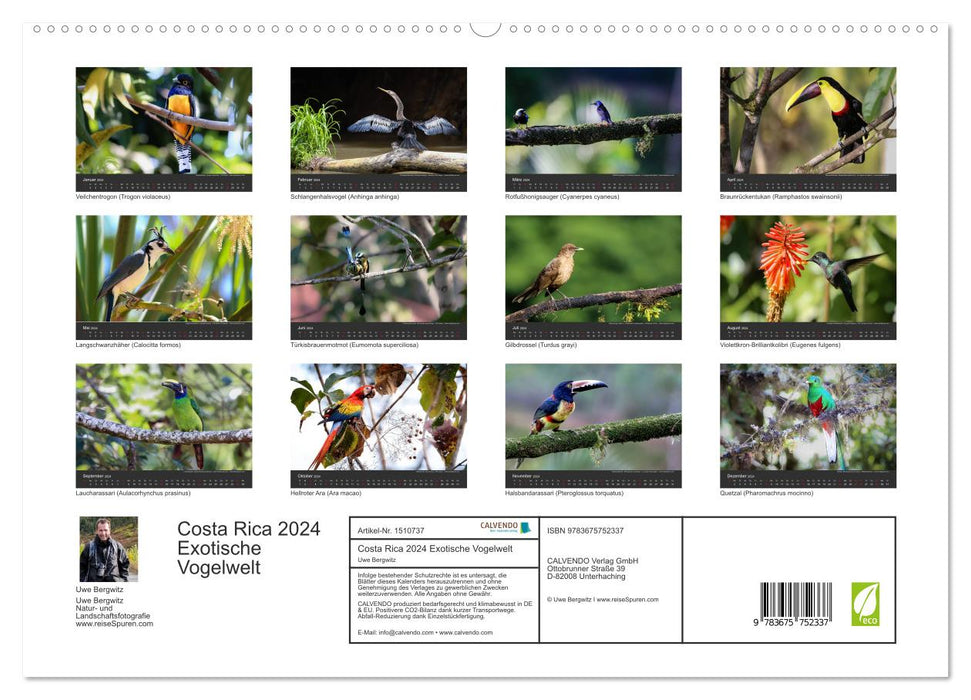 Costa Rica 2024 Exotische Vogelwelt (CALVENDO Premium Wandkalender 2024)