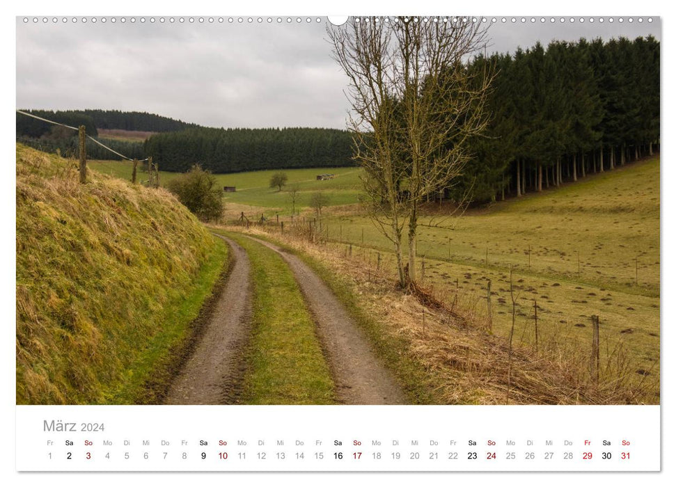 Stadt Plettenberg (CALVENDO Premium Wandkalender 2024)