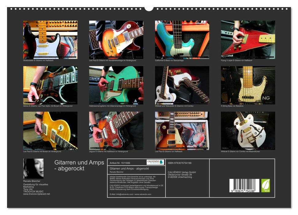 Gitarren und Amps - abgerockt (CALVENDO Premium Wandkalender 2024)