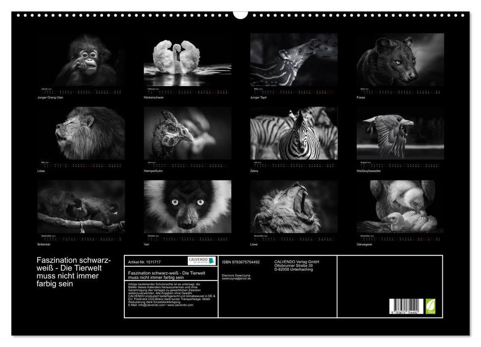 Faszination schwarz-weiß - Die Tierwelt muss nicht immer farbig sein (CALVENDO Wandkalender 2024)