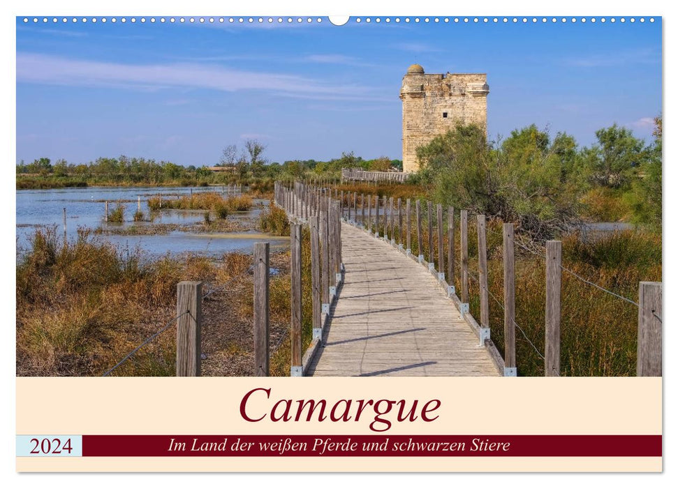Camargue - Im Land der weißen Pferde und schwarzen Stiere (CALVENDO Wandkalender 2024)