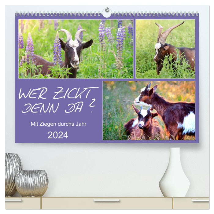 Who's bitching? With goats throughout the year (CALVENDO Premium Wall Calendar 2024) 