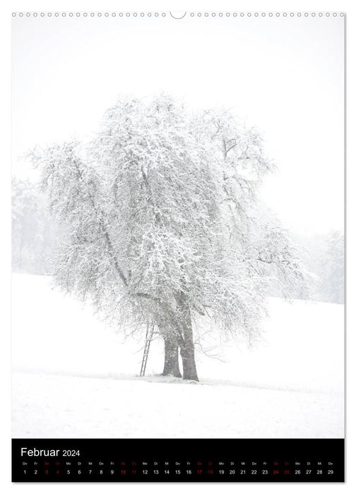 Bäume - Stilles Leben (CALVENDO Premium Wandkalender 2024)